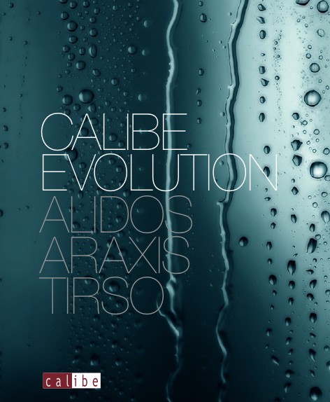 Calibe - 目录 Evolution
