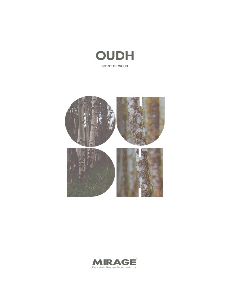 Mirage - 目录 Oudh
