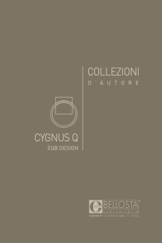 Cygnus Q
